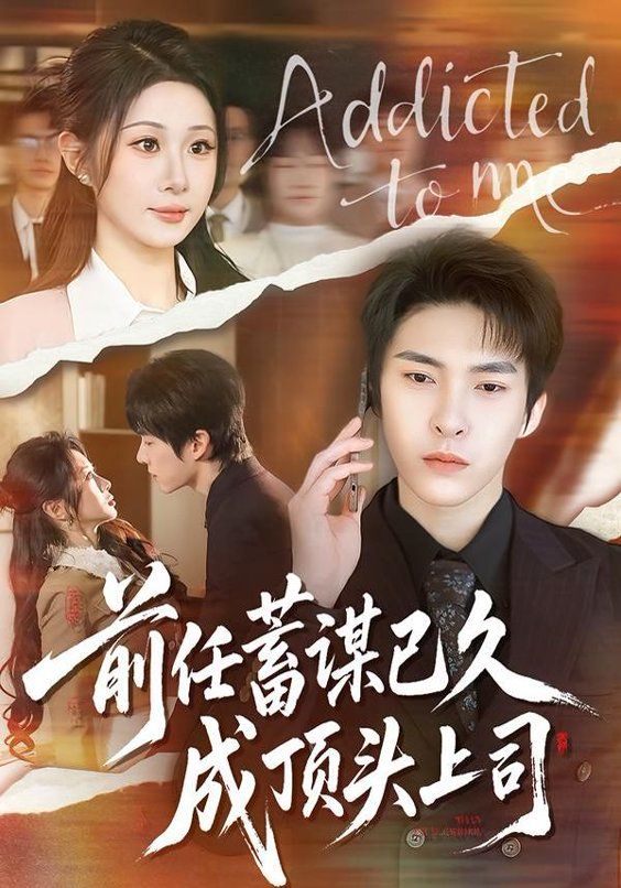 前任蓄谋已久成顶头上司